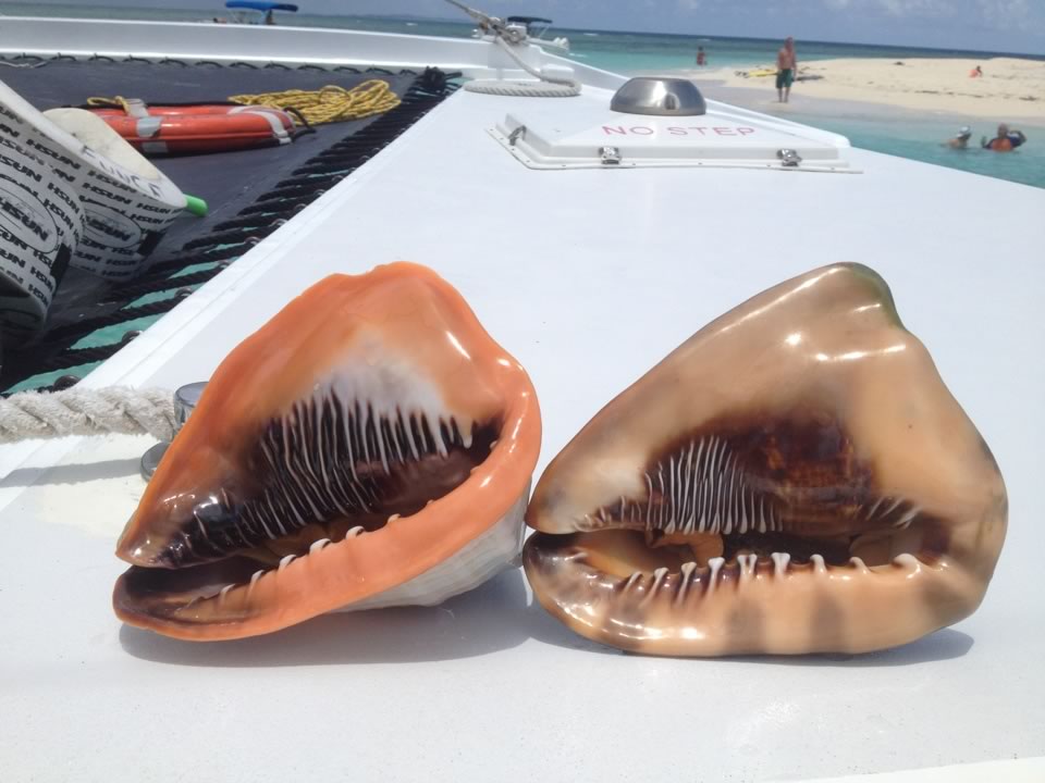 Jim Boat Trips Puerto Rico Caribbean